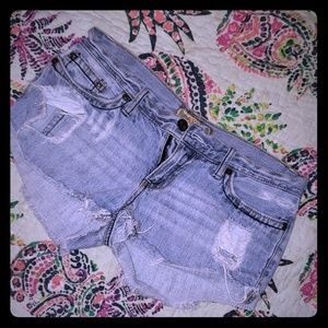 YMI distressed jean shorts